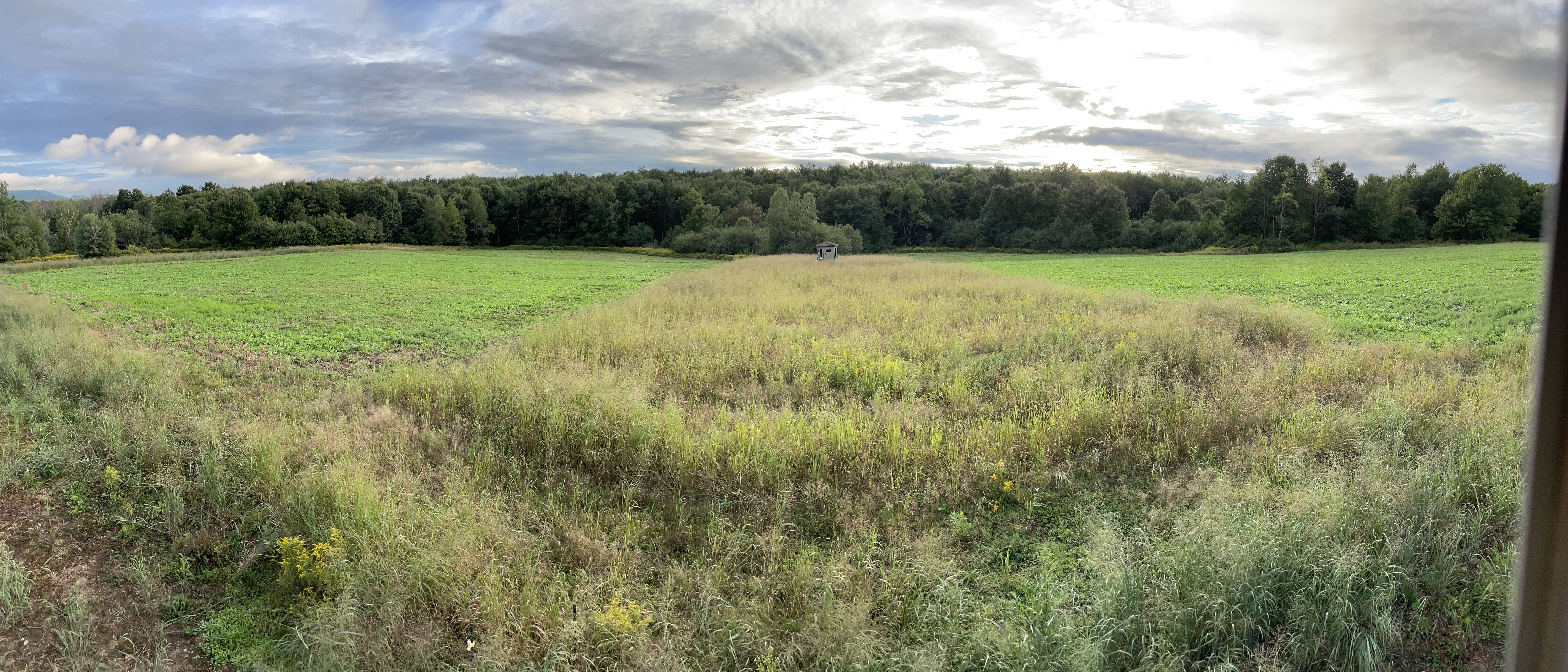 Food Plots